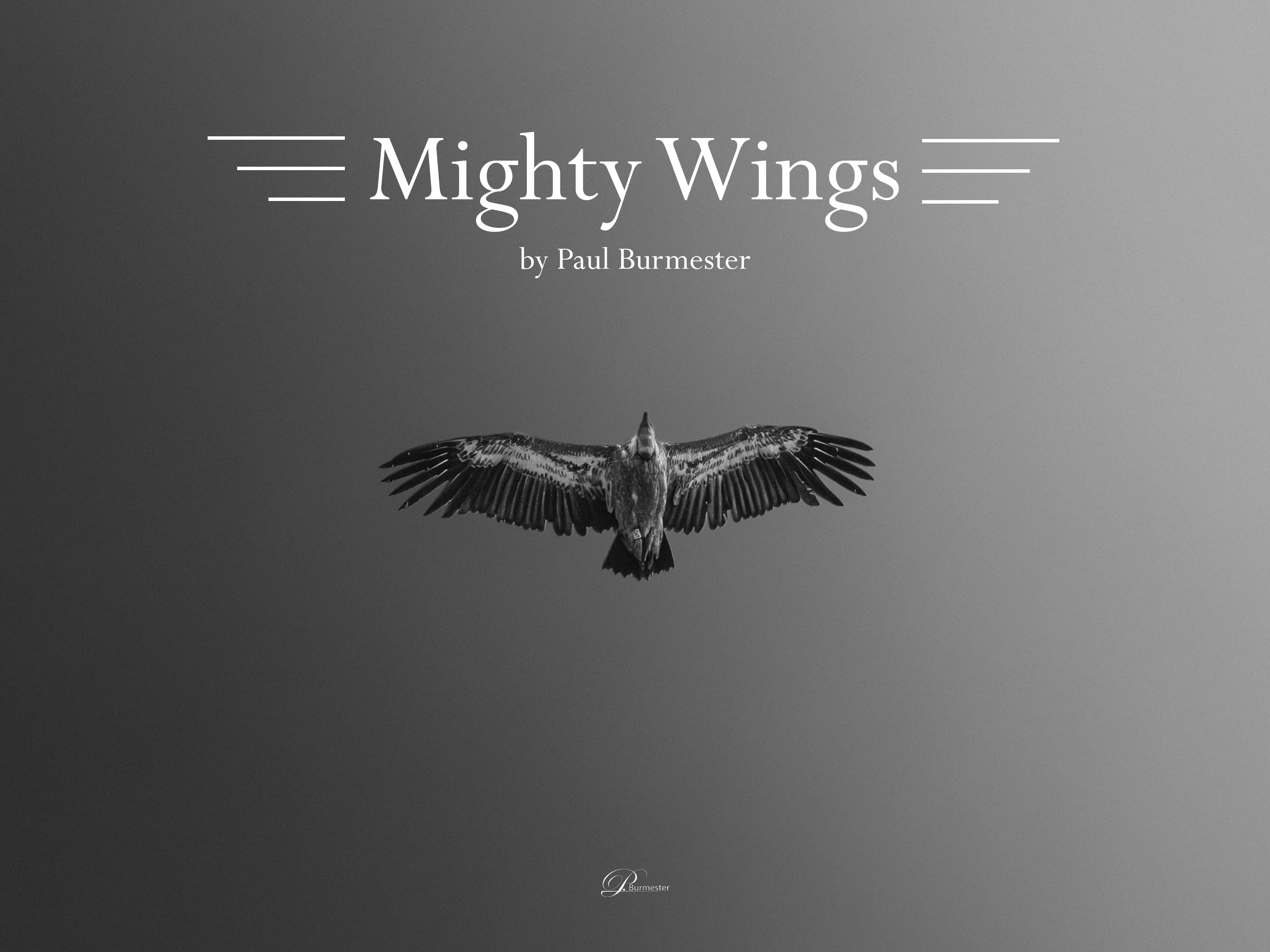 Mighty Wings by Paul Burmester