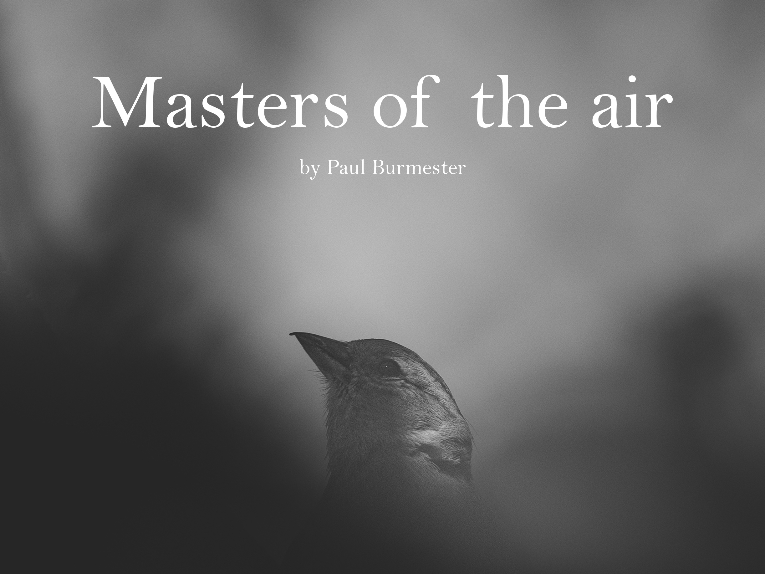 Masters of the Air by Paul Burmester